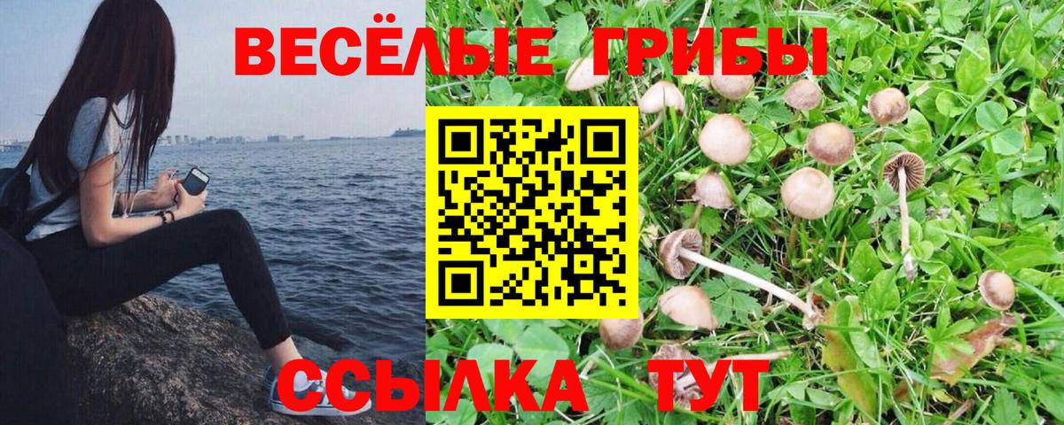 Галлюциногенные грибы GOLDEN TEACHER Октябрьский